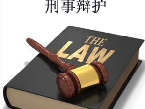 天津刑事辯護律師 專業(yè)咨詢與法律保障的橋梁